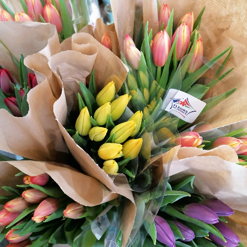 Bouquet tulipes