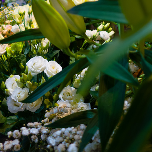 Capture%20d&rsquo;écran%202020 11-03%20à%2009.47.20