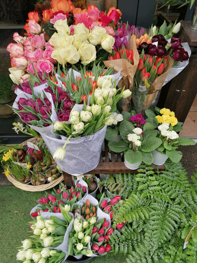 ambiance boutique-2-atmosphere-fleurs-FW