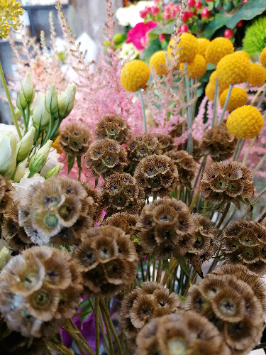 ambiance boutique-4-atmosphere-fleurs-FW-1