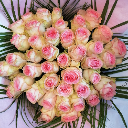 passer commande-atmosphere-fleurs